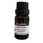 JERRAFLORE HUILE ESSENTIELLE CEDRE D'ATLAS CEDRUS ATLANTICA 10 ML
