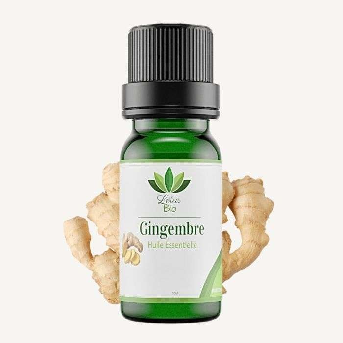 lotus-bio-huile-essentielle-de-gingembre.jpg LOTUS BIO HUILE ESSENTIELLE DE GINGEMBRE – Image 1